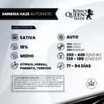 Amnesia Haze Auto - Royal Queen Seeds - Imagen 2