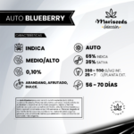 Auto Blueberry - Mariseeds Seleccion - Imagen 2