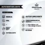Auto Northern Light - Mariseeds Selección - Imagen 2
