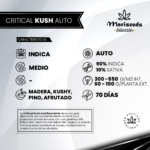 Critical kush Auto - Mariseeds Seleccion - Imagen 2