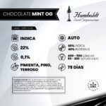 Chocolate Mint Og Auto x3 -Humboldt Seeds - Imagen 2