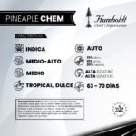 Pinneaple Chem Auto x3 - Humboldt Seeds - Imagen 2