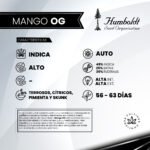 Mango OG Auto x3 - Humboldt Seeds - Imagen 2