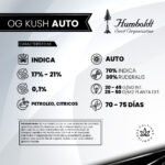 Og Kush Auto x3 - Humboldt Seeds - Imagen 2