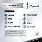 White Runtz Fast Flowering x3 - Humboldt Seeds - Imagen 2