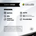 Amnesia Ryder Auto x3 - World Of Seeds - Imagen 2