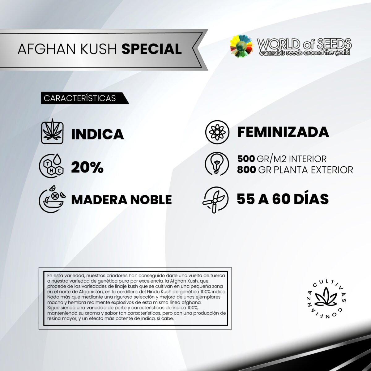 Afghan Kush Special Fem x3 - World Of Seeds - Imagen 2