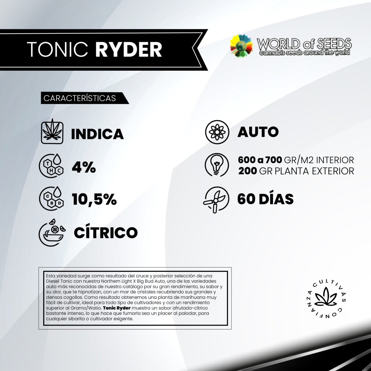 Tonic Ryder CBD Auto x3 - World Of Seeds - Imagen 2