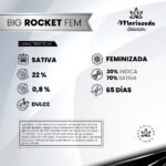 Big Rocket Fem (Fotoperiodica) - Mariseeds Seleccion - Imagen 2
