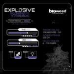 Explosive weed Fem (Fotoperiodica) - Bioweed - Imagen 2