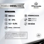 Pomelo Diesel Fem - Mariseeds Seleccion - Imagen 2