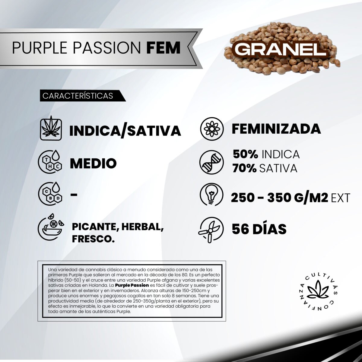 Purple Passion Fem 3+1 - Granel - Imagen 2