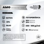 AMG Fem - Royal Queen Seeds - Imagen 2