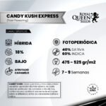 Candy Kush Fem - Royal Queen Seeds - Imagen 2