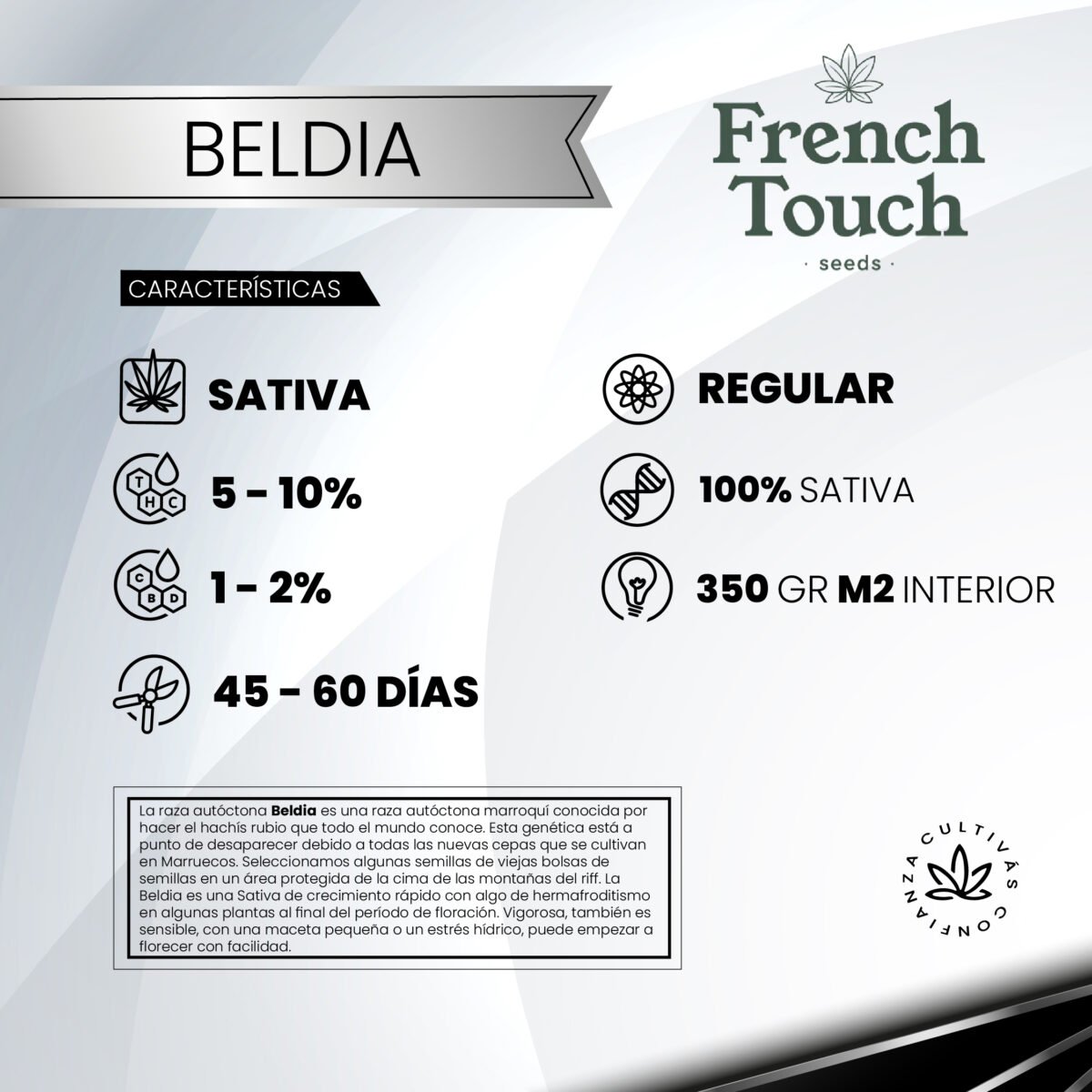 Beldia (Regular) Landrace - French Touch Seeds x5 - Imagen 2