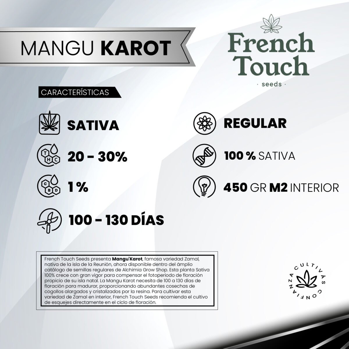 Mangu Karot (Regular) Landrace - French Touch Seeds x5 - Imagen 2