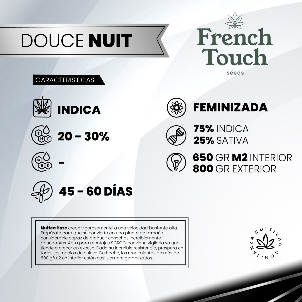 Douce Nuit Fem (Fotoperiodica) - French Touch Seeds x3 - Imagen 2