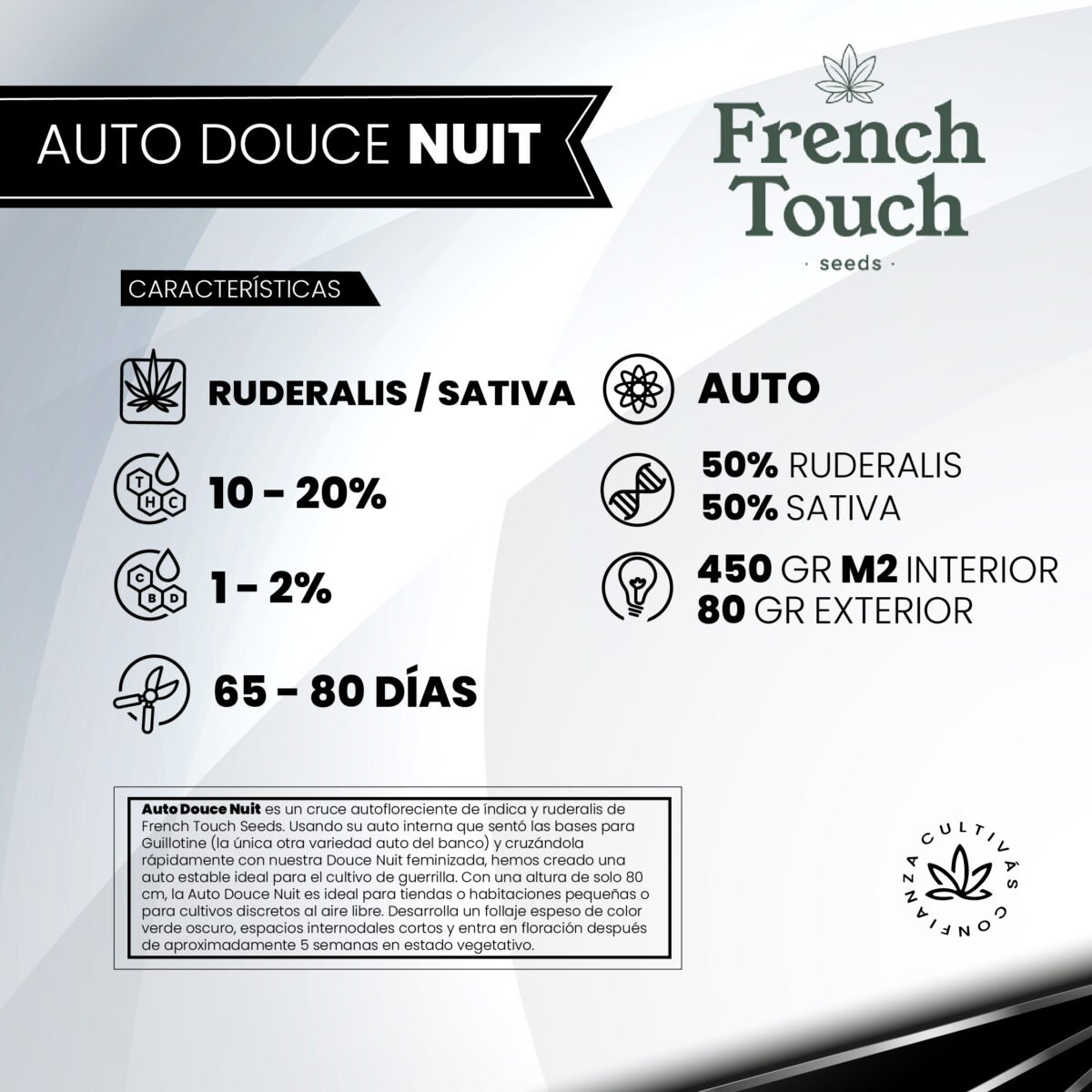 Auto Douce Nuit - French Touch Seeds x3 - Imagen 2