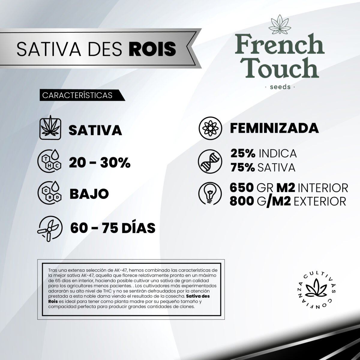 Sativa Des Rois Fem (Fotoperiodica)  - French Touch Seeds x3 - Imagen 2