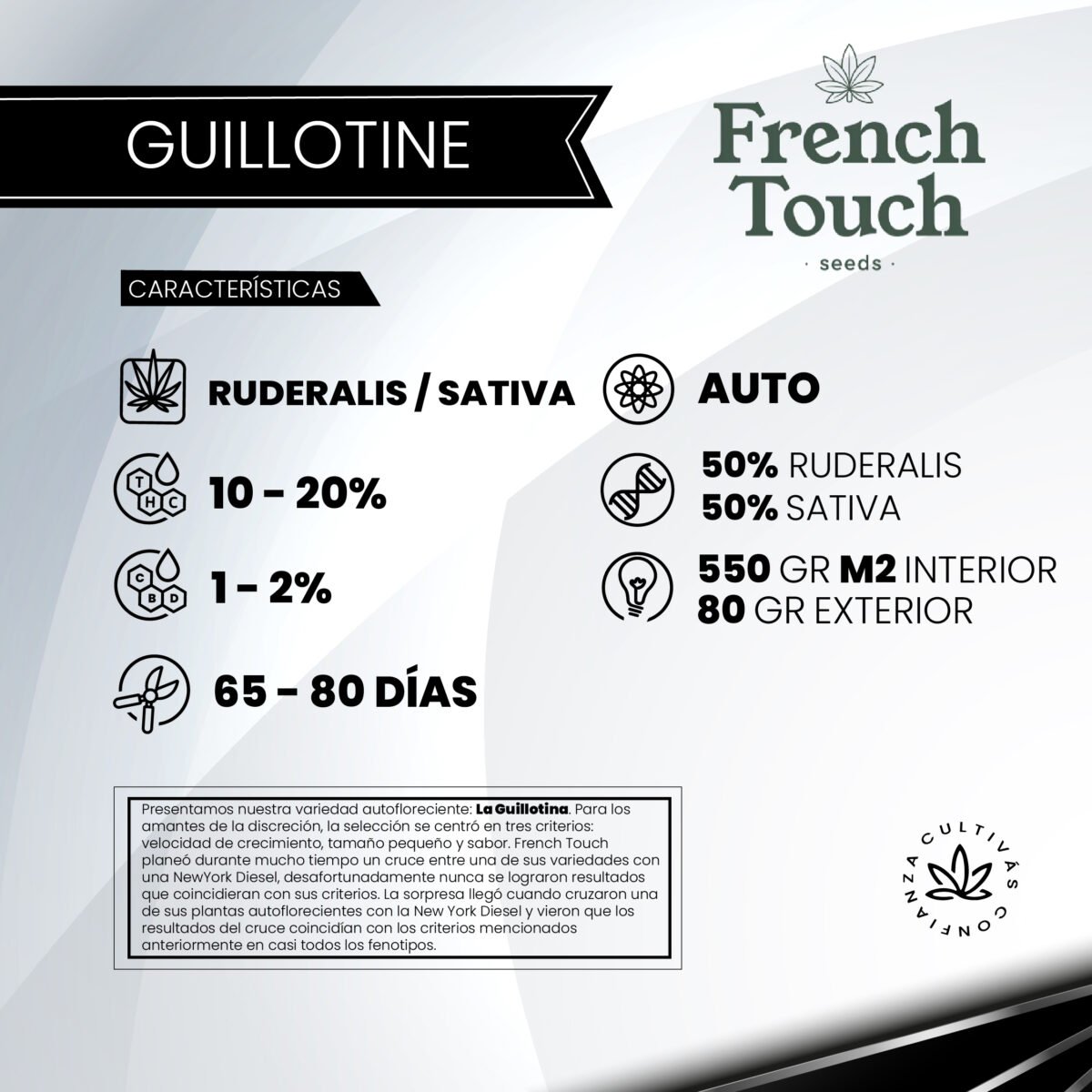 Auto Guillotine - French Touch Seeds x3 - Imagen 2
