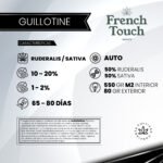 Auto Guillotine - French Touch Seeds x3 - Imagen 2