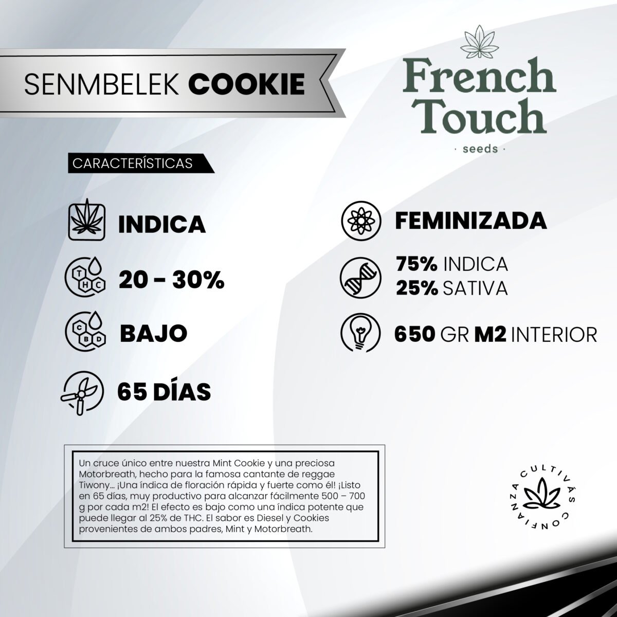Senmbelek Cookie Fem (Fotoperiodica)  - French Touch Seeds x3 - Imagen 2