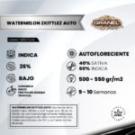 Watermelon Skittlez Auto 3+1 - Granel - Imagen 2