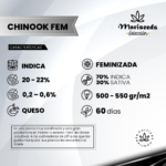 Chinook Fem (Fotoperiodica) - Mariseeds Seleccion - Imagen 2