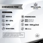 Chemdog Fem (Fotoperiódica) - Mariseeds Seleccion - Imagen 2