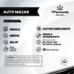 Auto Mazar - Mariseeds Seleccion - Imagen 2
