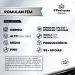 Romulan Fem (Fotoperiodica) - Mariseeds Seleccion - Imagen 2