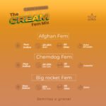 The Cream Mix Fem x6 - Imagen 2