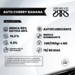 Cherry Banana Auto - Silver River Seeds x5 - Imagen 2