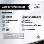 Auto Skywalker Haze - Dutch Passion x3 - Imagen 2