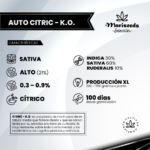 Auto Citric-K.O - Mariseeds Seleccion - Imagen 2