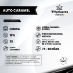 Auto Caramel - Mariseeds Seleccion - Imagen 2