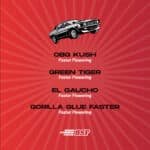 Fast And Furious Mix x12 - BSF - Imagen 2