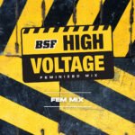 High Voltage Fem Mix x12 - BSF