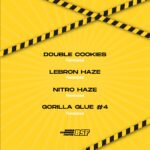 High Voltage Fem Mix x12 - BSF - Imagen 2