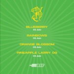 Tutty Frutti Auto Mix x12 - BSF - Imagen 2