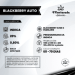 Auto Blackberry - Mariseeds Seleccion - Imagen 2