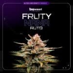 Auto Frutynana - Bioweed