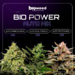 Biopower Automix x9 - Bioweed