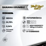Banana Krumble  Foto Fem x3 - Green House Seeds - Imagen 2