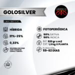 Golosilver Fem (Fotoperiódica) - Silver River Seeds x5 - Imagen 2