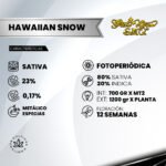 Hawaiian Snow x3 Foto Fem  - Green House Seeds - Imagen 2
