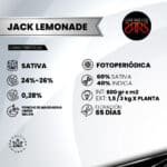Jack Lemonade Fem (Fotoperiódica) - Silver River Seeds x5 - Imagen 2