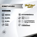 Kings Kush Foto Fem x3 - Green House Seeds - Imagen 2
