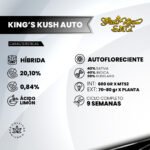 King’s Kush Auto 3+1 - Green House Seeds - Imagen 2