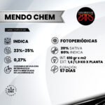 Mendo Chem Fem (Fotoperiódica) - Silver River Seeds x5 - Imagen 2